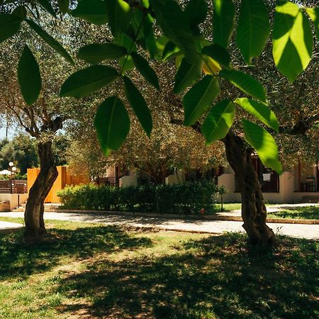 Kalypso Studio Resorts Κάβος Εξωτερικό φωτογραφία
